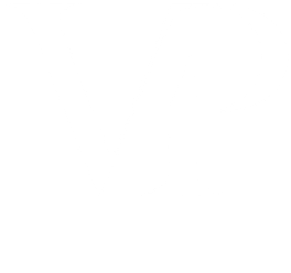 Logo blanco de VP Realty Florida